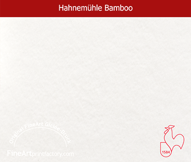 Hahnemuehle Bamboo