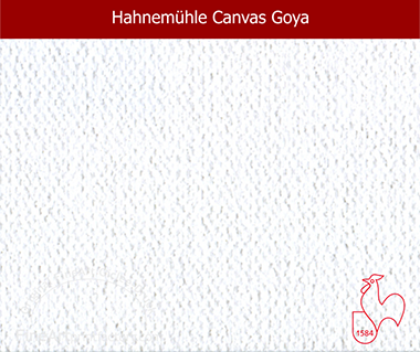 Hahnemuehle Canvas Goya